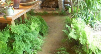INDOOR GARDENING
