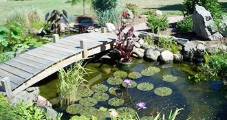 WATER GARDENING